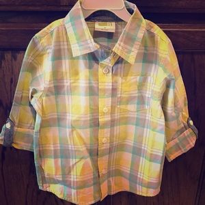 NWT Crazy 8 Toddler Longsleeve Collar Shirt